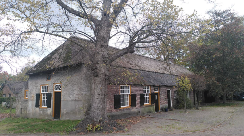 Boerderij in Leende